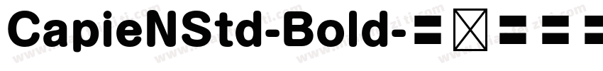 CapieNStd-Bold字体转换