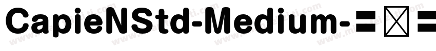 CapieNStd-Medium字体转换