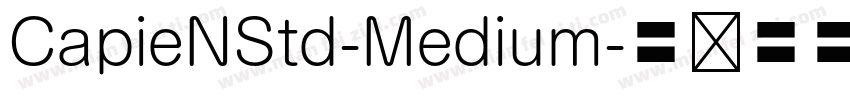 CapieNStd-Medium字体转换