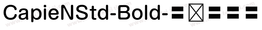 CapieNStd-Bold字体转换