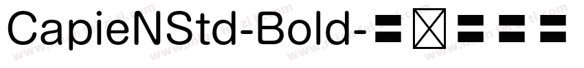 CapieNStd-Bold字体转换