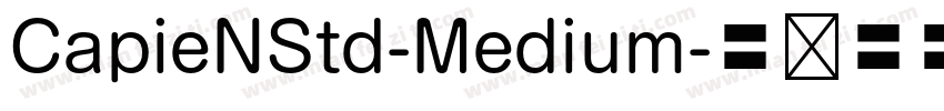 CapieNStd-Medium字体转换