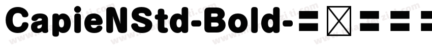 CapieNStd-Bold字体转换