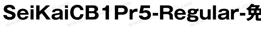 SeiKaiCB1Pr5-Regular字体转换