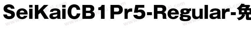 SeiKaiCB1Pr5-Regular字体转换