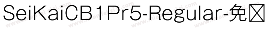 SeiKaiCB1Pr5-Regular字体转换