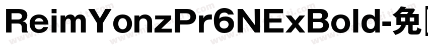 ReimYonzPr6NExBold字体转换