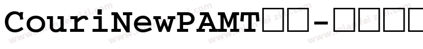 CouriNewPAMT字体字体转换