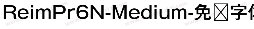 ReimPr6N-Medium字体转换