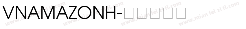 VNAmazonH字体转换