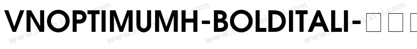 VNOptimumH-BoldItali字体转换