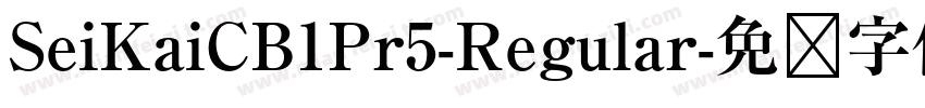 SeiKaiCB1Pr5-Regular字体转换