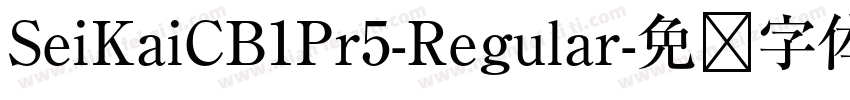 SeiKaiCB1Pr5-Regular字体转换