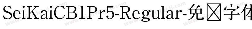 SeiKaiCB1Pr5-Regular字体转换
