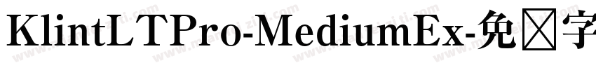 KlintLTPro-MediumEx字体转换