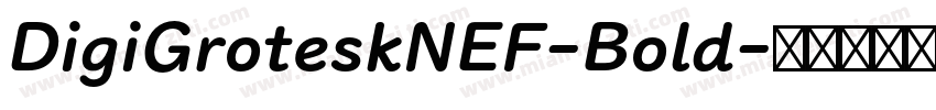 DigiGroteskNEF-Bold字体转换