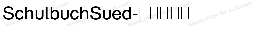 SchulbuchSued字体转换