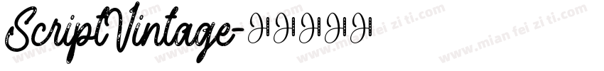 ScriptVintage字体转换