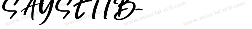 SAYSETTB字体转换