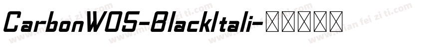 CarbonW05-BlackItali字体转换