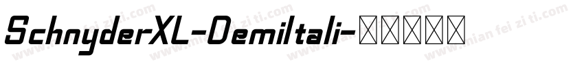 SchnyderXL-DemiItali字体转换
