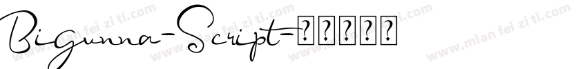 Bigunna-Script字体转换