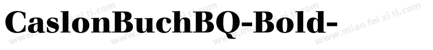 CaslonBuchBQ-Bold字体转换