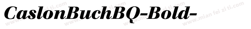 CaslonBuchBQ-Bold字体转换