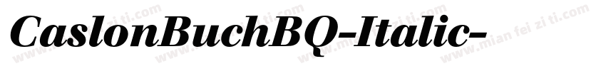 CaslonBuchBQ-Italic字体转换