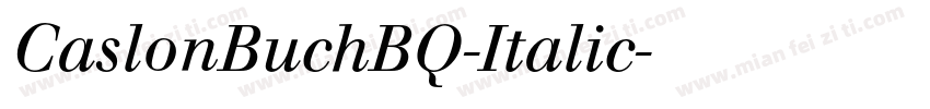 CaslonBuchBQ-Italic字体转换