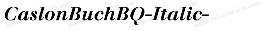 CaslonBuchBQ-Italic字体转换