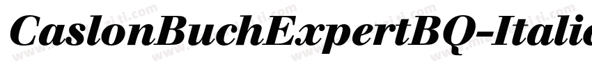 CaslonBuchExpertBQ-ItalicOsF字体转换