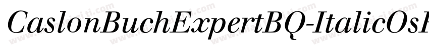 CaslonBuchExpertBQ-ItalicOsF字体转换