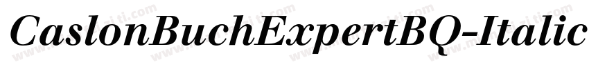 CaslonBuchExpertBQ-ItalicOsF字体转换