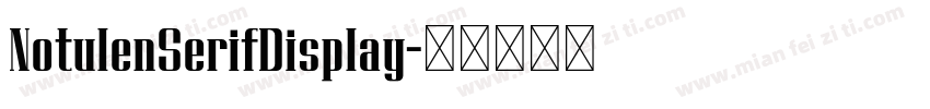 NotulenSerifDisplay字体转换