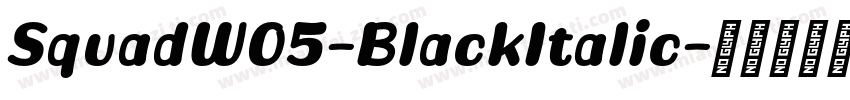 SquadW05-BlackItalic字体转换