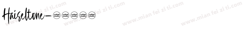 Haiseltone字体转换