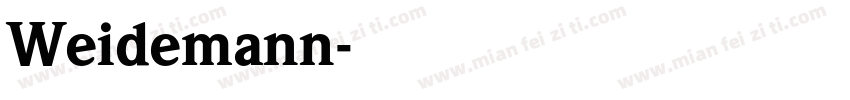 Weidemann字体转换