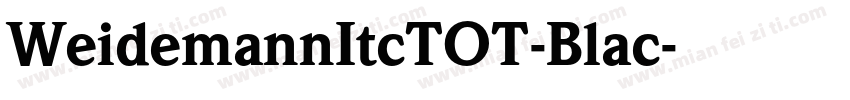 WeidemannItcTOT-Blac字体转换