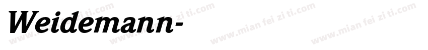 Weidemann字体转换