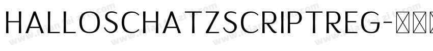 HalloSchatzScriptReg字体转换