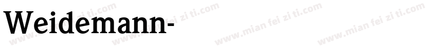Weidemann字体转换