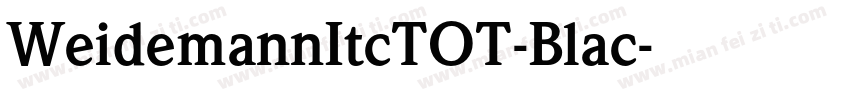 WeidemannItcTOT-Blac字体转换