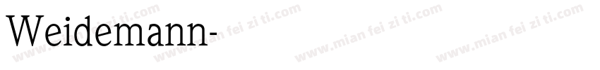 Weidemann字体转换
