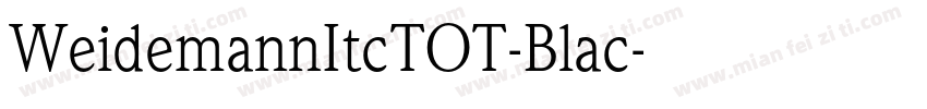 WeidemannItcTOT-Blac字体转换