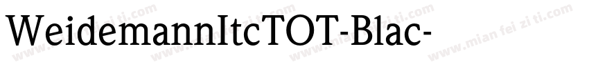 WeidemannItcTOT-Blac字体转换