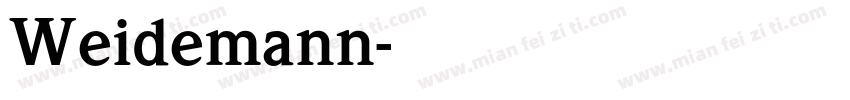 Weidemann字体转换
