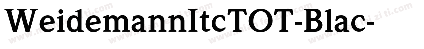 WeidemannItcTOT-Blac字体转换