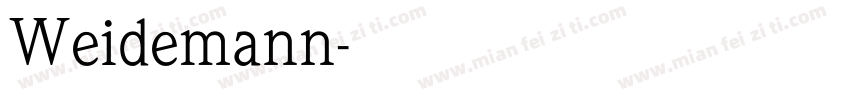 Weidemann字体转换