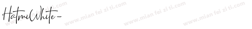 HatmiWhite字体转换